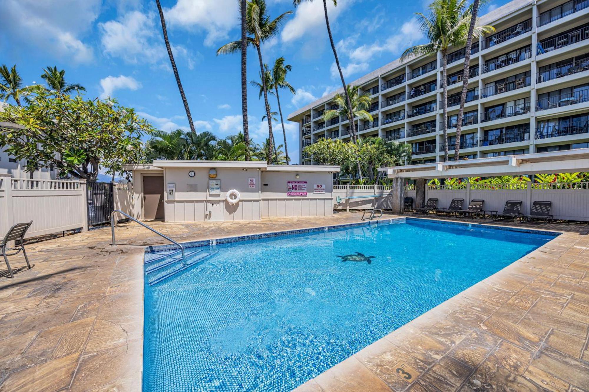 Апартаменти Kihei Akahi C611 Вайлеа Екстер'єр фото